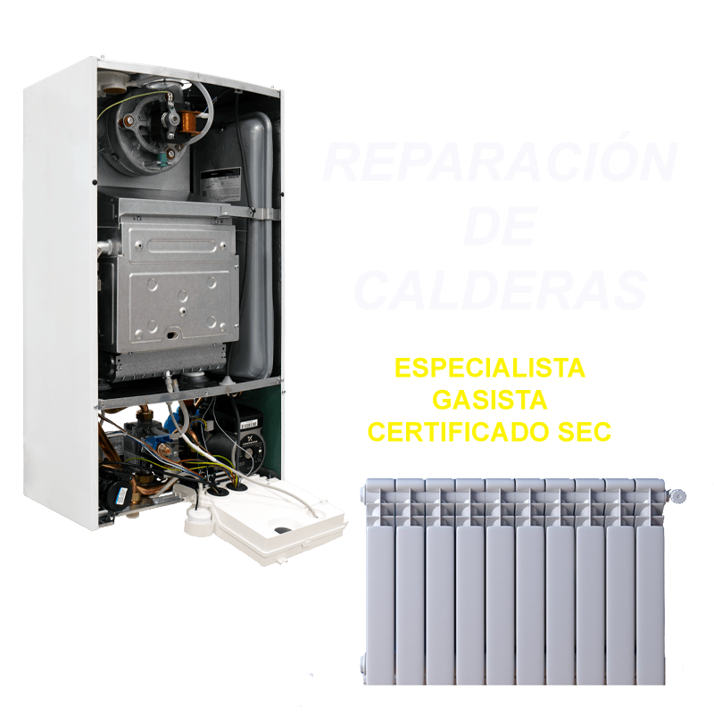 Pintura y construcción